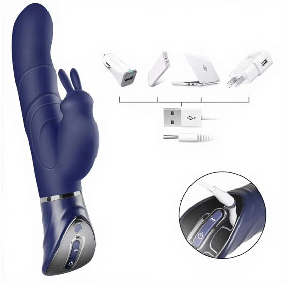 Blue Rabbit vibrator